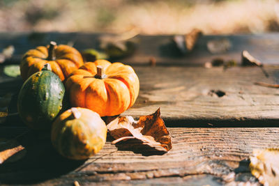 Close-up of pumpkins on wood