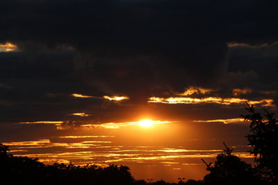 Silhouette of trees against cloudy sky during sunset