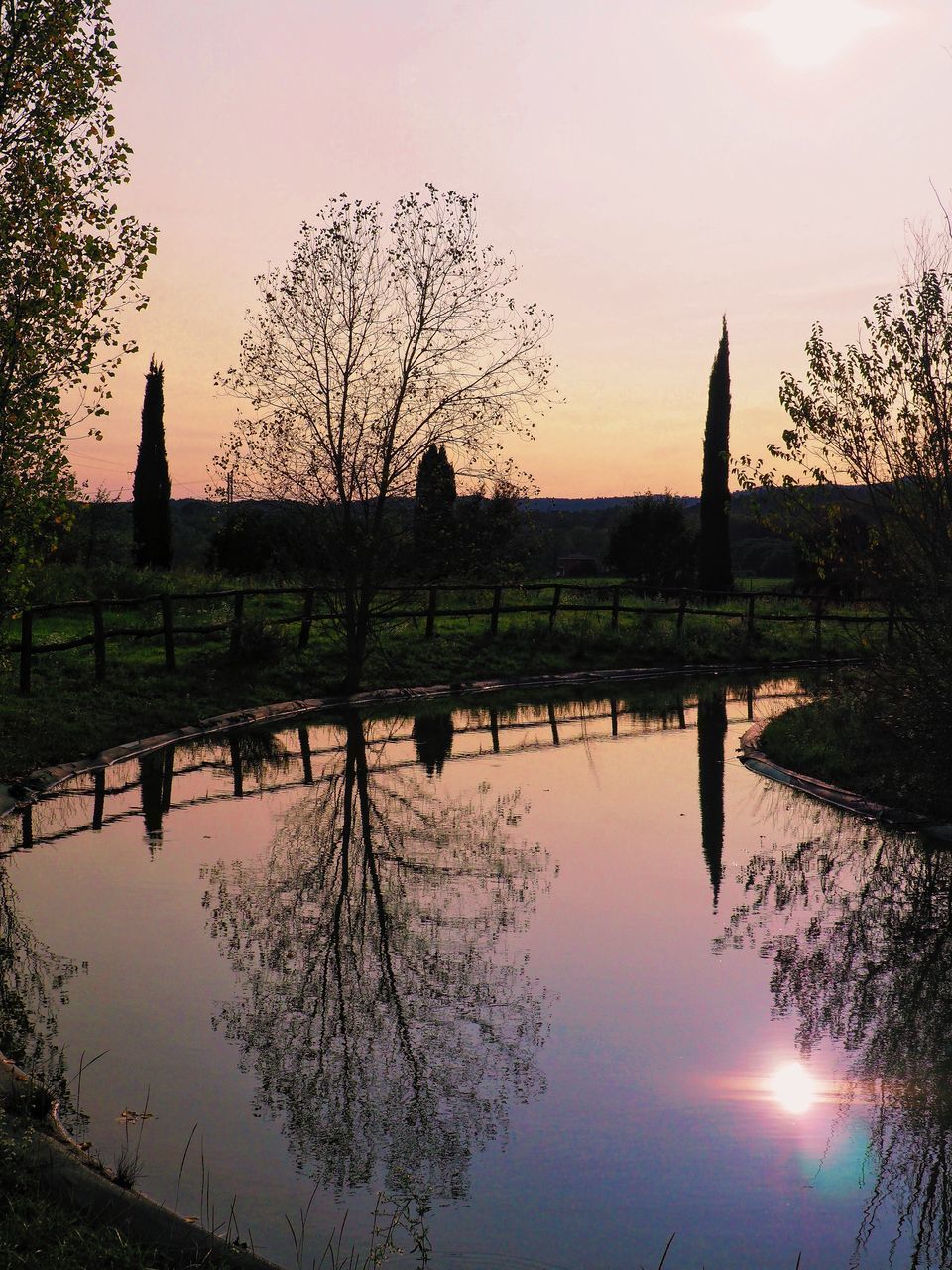 SILHOUETTE PLANTS BY LAKE AGAINST SKY DURING SUNSET