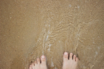 Low section of woman on beach