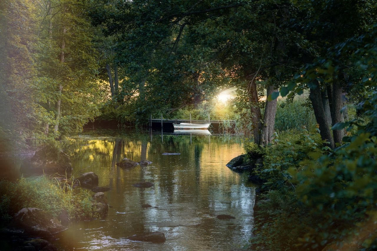 SCENIC VIEW OF LAKE