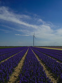 Wind turbines on field against sky