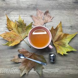 High angle view of maple leaf on table