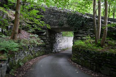 Road amidst trees in forest