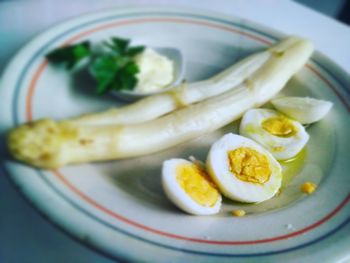 Close-up of food in plate