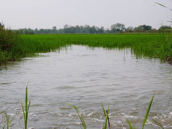 Scenic view of lake against sky