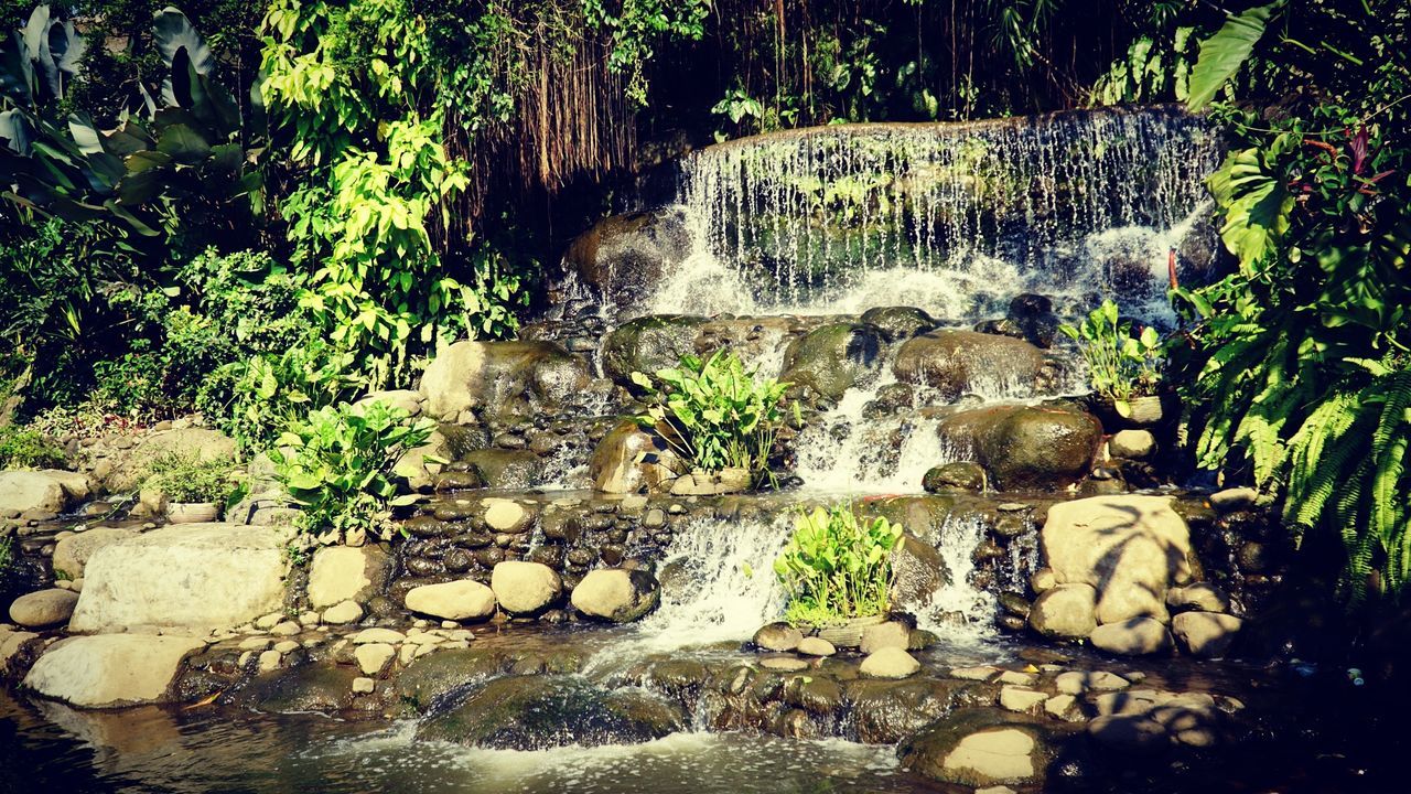 STONE WALL BY WATERFALL IN FOREST