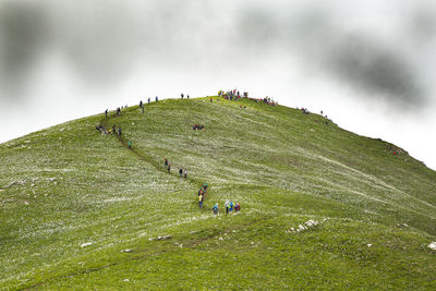 People on grassy flowery hill against sky