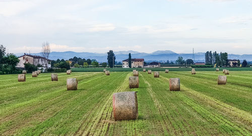 Hay bales on field against sky