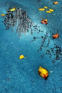 High angle view of puddle on street