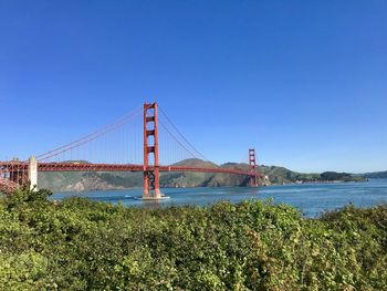 Suspension bridge over sea against clear blue sky