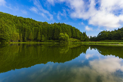 Scenic view of lake by trees against sky