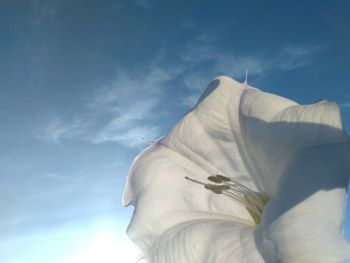 Low angle view of cloudy sky