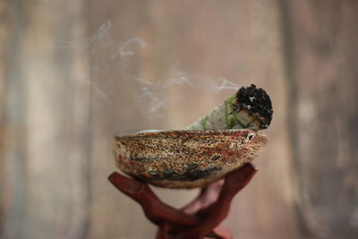 Close-up of burnt plant in bowl on stand