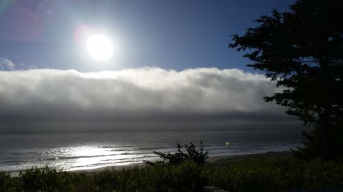 Scenic view of beach and sea against sky