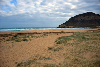 Scenic view of beach against sky