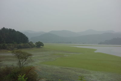 Scenic view of lake against clear sky
