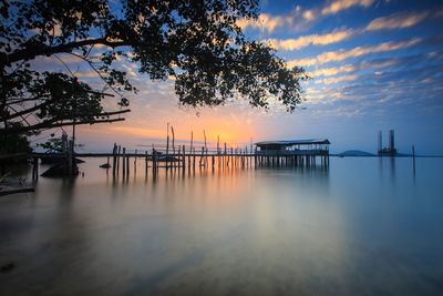 Silhouette tree by sea against sky during sunset