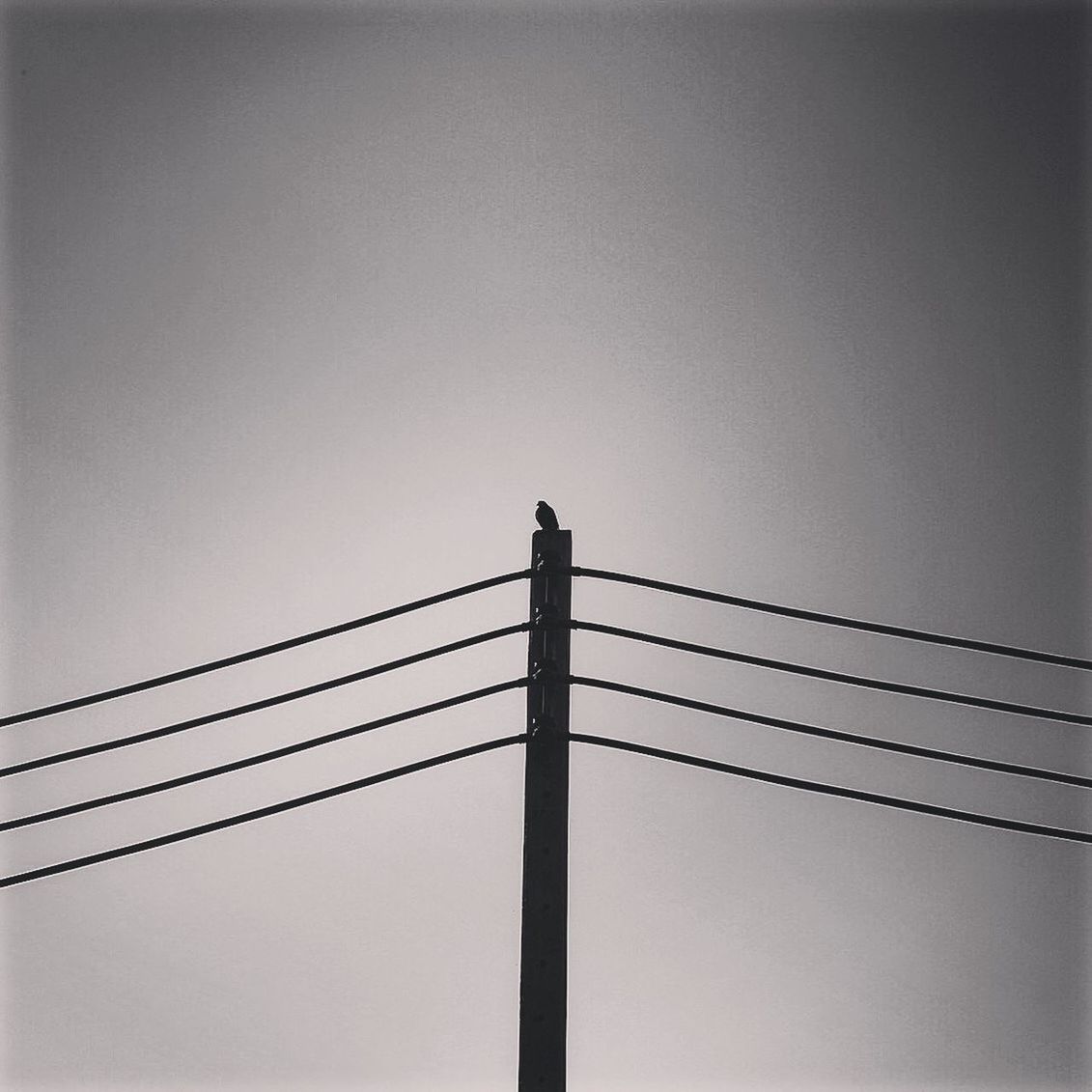 LOW ANGLE VIEW OF POWER LINES AGAINST SKY