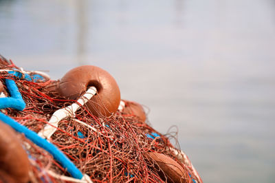 Close-up of fishing net