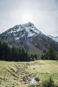 Scenic view of snowcapped mountain against sky