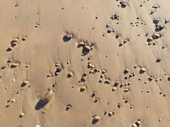 High angle view of footprints on sand at beach