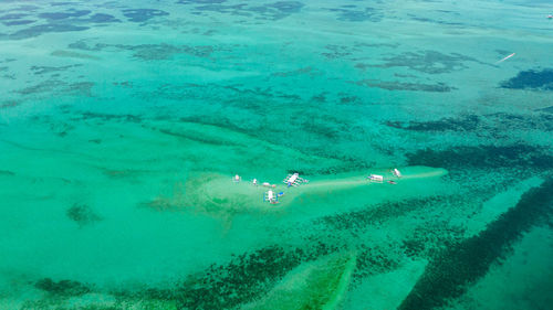 Sandbar and coral reef in turquoise water. negros, philippines.