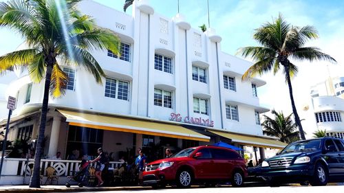 Cars on street by palm trees and buildings against sky