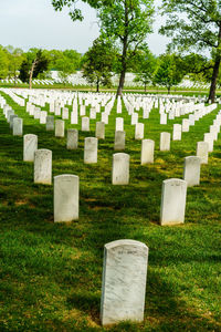 Tombstones on grassy field