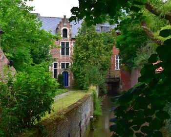 View of trees and building