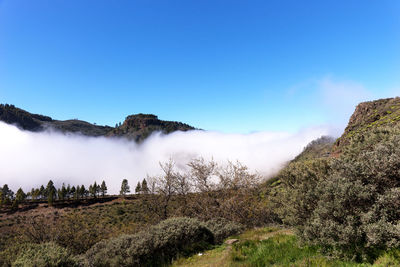 Scenic view of land against clear blue sky