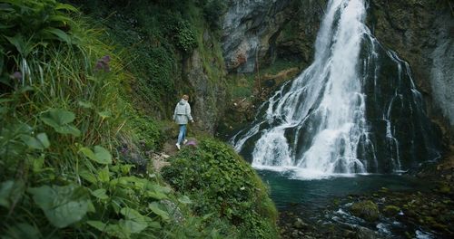 Scenic view of waterfall in forest