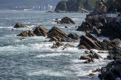 Scenic view of sea shore