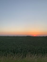 Scenic view of field against clear sky during sunset