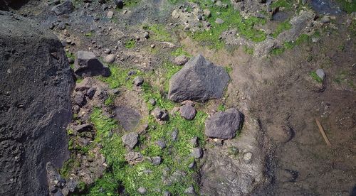 High angle view of rock formation on land