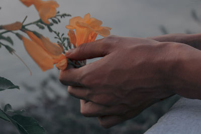 human hand