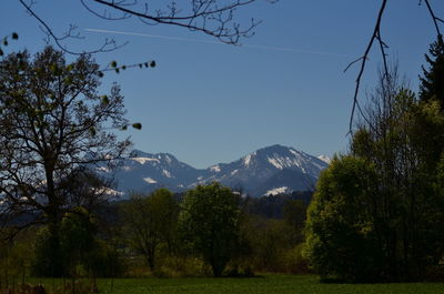 Scenic view of trees and mountains against sky