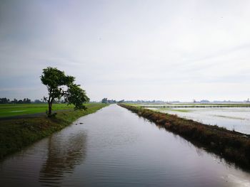 Scenic view of river amidst field against sky