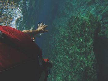 Man swimming in sea