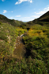 nature