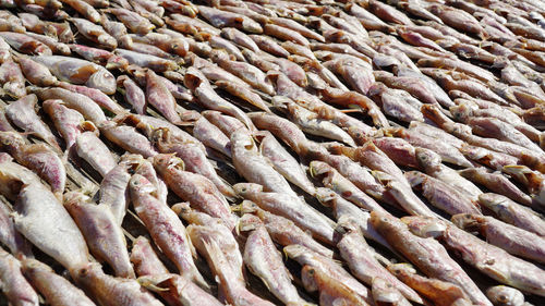 Full frame shot of fish for sale in market