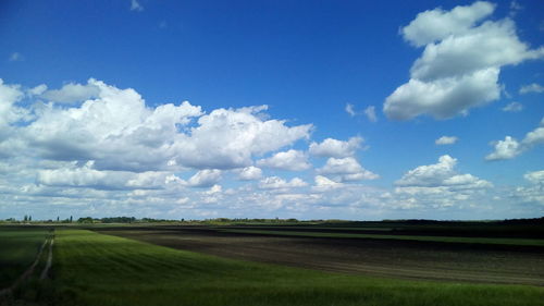 Scenic view of agricultural field against sky