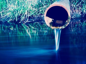 Close-up of plants against calm lake