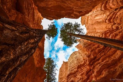 Low angle view of rock formations