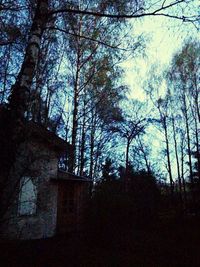 Low angle view of bare trees against sky