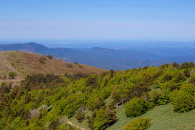 Scenic view of landscape against sky