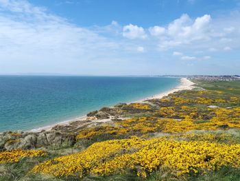 Scenic view of sea against sky