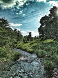 Scenic view of river amidst trees against sky