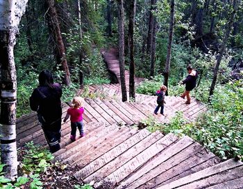 People walking on footpath in forest