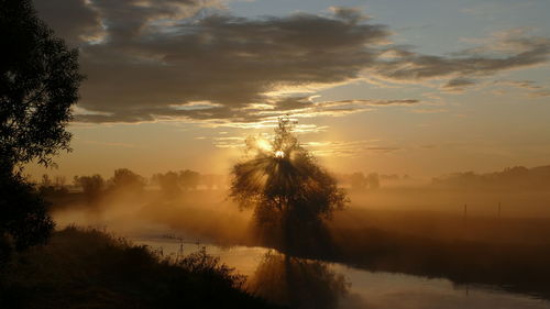 Silhouette trees by lake against sky during sunset